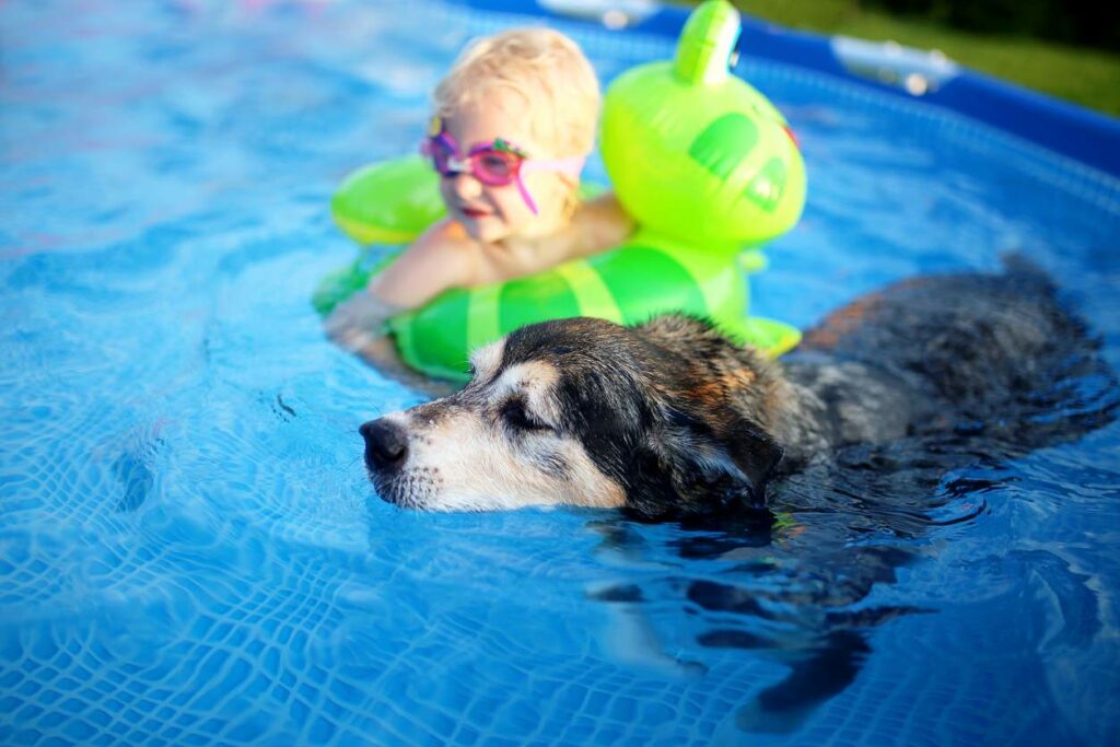 A dog and a child swim together in a swimming pool.